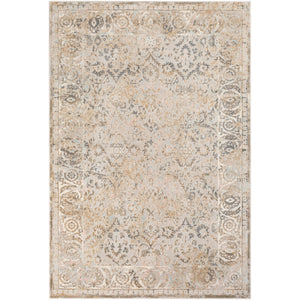 Surya Dryden Traditional Taupe, Khaki, Camel, Medium Gray, Charcoal, Pale Pink, Pale Blue Rugs DDN-2310