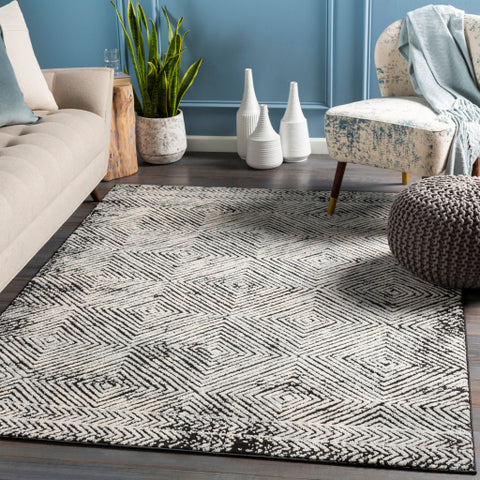 Image of Surya Dersim Global White, Black, Light Gray Rugs DSM-2307