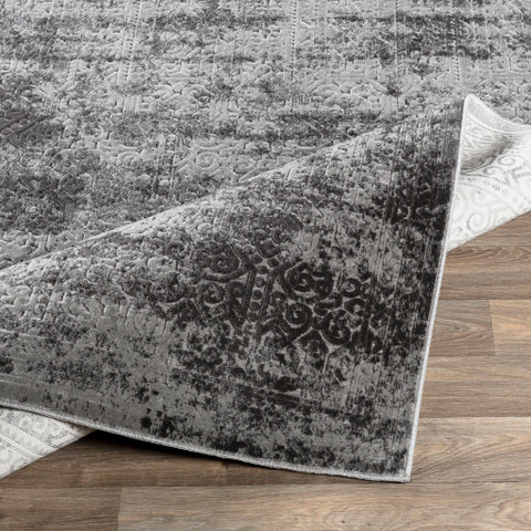 Image of Surya Dantel Traditional Medium Gray, Charcoal Rugs DTL-2303