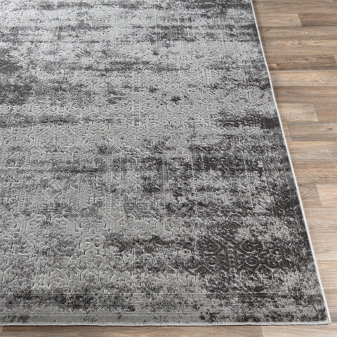 Image of Surya Dantel Traditional Medium Gray, Charcoal Rugs DTL-2303