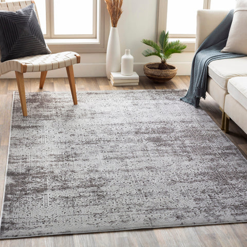 Image of Surya Dantel Traditional Medium Gray, Charcoal Rugs DTL-2303