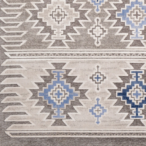 Image of Surya Dantel Rustic Light Gray, Silver Gray, Taupe, Dark Blue, Bright Blue Rugs DTL-2306