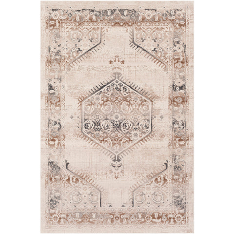 Image of Surya Dublin Traditional Dark Brown, Taupe, White, Charcoal, Medium Gray, Teal Rugs DUB-2301