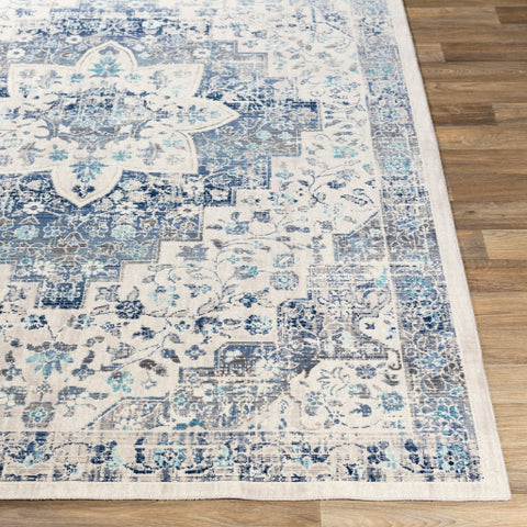 Image of Surya Dublin Traditional Aqua, Navy, Denim, White, Charcoal, Medium Gray Rugs DUB-2302