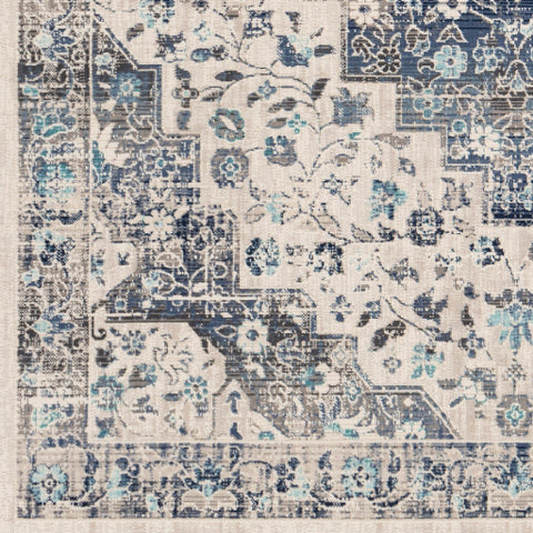 Image of Surya Dublin Traditional Aqua, Navy, Denim, White, Charcoal, Medium Gray Rugs DUB-2302