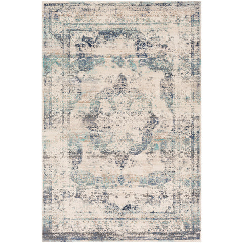 Image of Surya Dublin Traditional Taupe, Medium Gray, Navy, White, Charcoal, Aqua, Teal Rugs DUB-2304