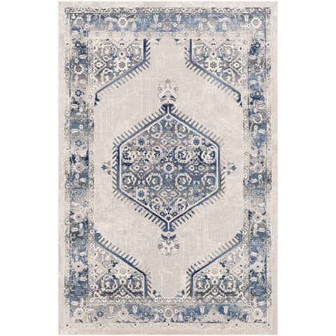 Image of Surya Dublin Traditional White, Medium Gray, Navy, Denim, Charcoal, Teal Rugs DUB-2306