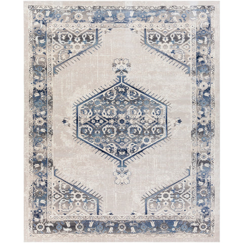 Image of Surya Dublin Traditional White, Medium Gray, Navy, Denim, Charcoal, Teal Rugs DUB-2306