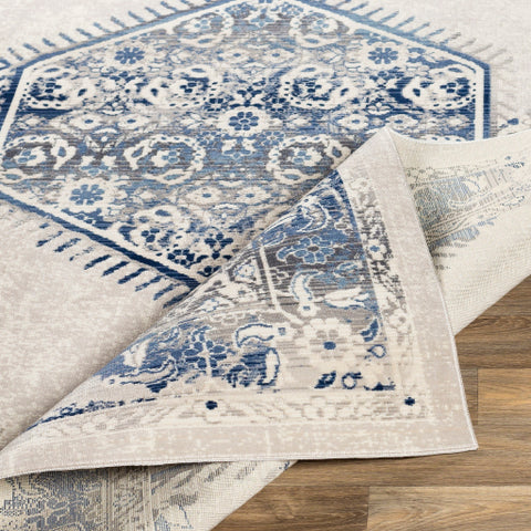 Image of Surya Dublin Traditional White, Medium Gray, Navy, Denim, Charcoal, Teal Rugs DUB-2306