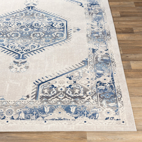 Image of Surya Dublin Traditional White, Medium Gray, Navy, Denim, Charcoal, Teal Rugs DUB-2306