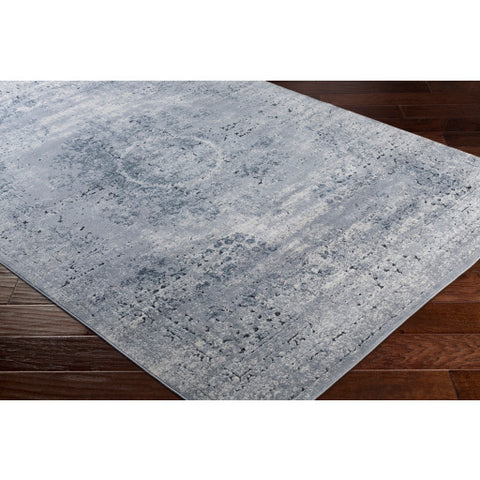 Image of Surya Durham Traditional Medium Gray, Khaki, Charcoal, Black Rugs DUR-1002