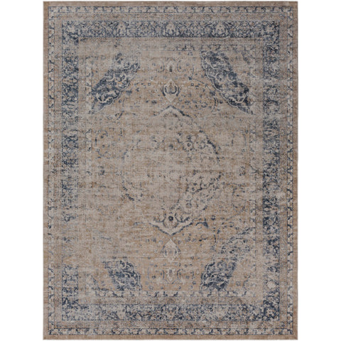 Image of Surya Durham Traditional Beige, Khaki, Medium Gray, Charcoal, Camel Rugs DUR-1003