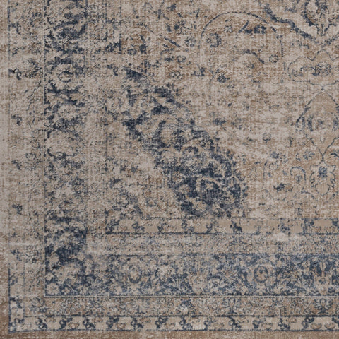 Image of Surya Durham Traditional Beige, Khaki, Medium Gray, Charcoal, Camel Rugs DUR-1003