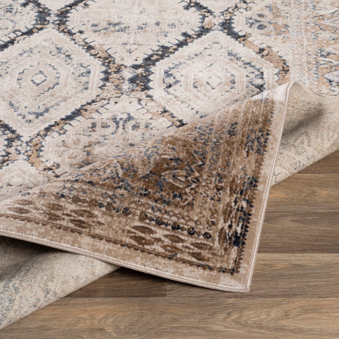 Image of Surya Durham Traditional Beige, Taupe, Camel, Medium Gray, Charcoal Rugs DUR-1004