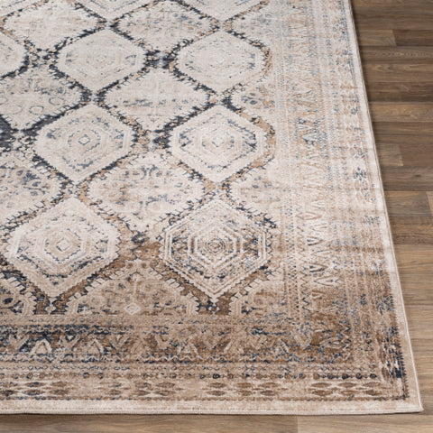 Image of Surya Durham Traditional Beige, Taupe, Camel, Medium Gray, Charcoal Rugs DUR-1004