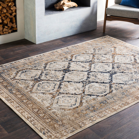 Image of Surya Durham Traditional Beige, Taupe, Camel, Medium Gray, Charcoal Rugs DUR-1004