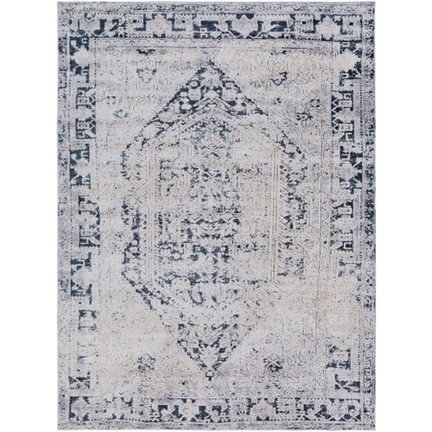 Image of Surya Durham Traditional Medium Gray, Charcoal, Ink, Khaki, Beige Rugs DUR-1009