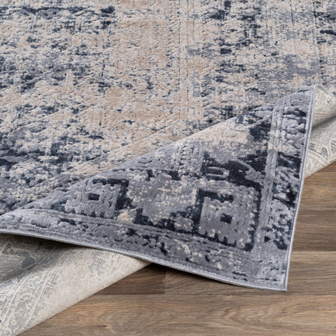 Image of Surya Durham Traditional Medium Gray, Charcoal, Ink, Khaki, Beige Rugs DUR-1009