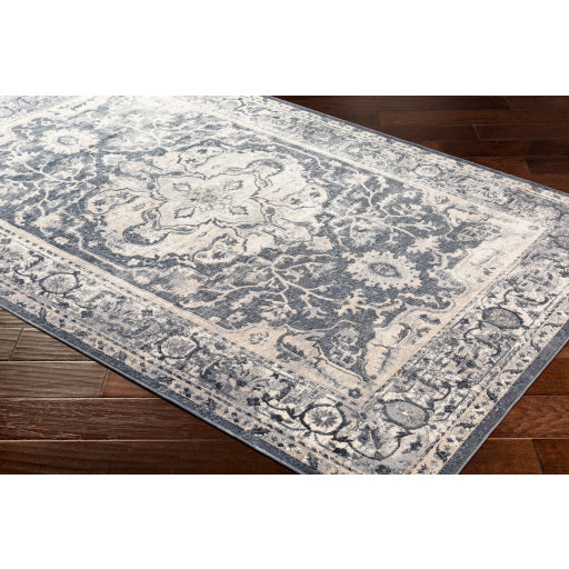 Surya Durham Traditional Medium Gray, Charcoal, Taupe, White, Black Rugs DUR-1013