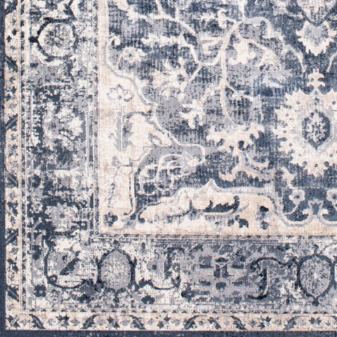 Image of Surya Durham Traditional Medium Gray, Charcoal, Taupe, White, Black Rugs DUR-1013
