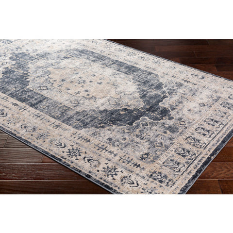 Image of Surya Durham Traditional Taupe, Medium Gray, Charcoal, Black, White Rugs DUR-1015