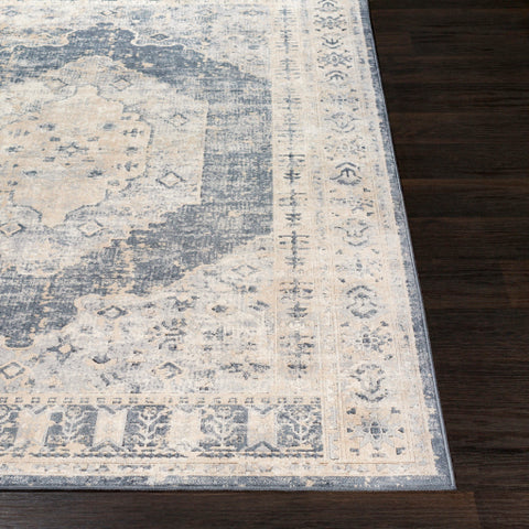 Image of Surya Durham Traditional Taupe, Medium Gray, Charcoal, Black, White Rugs DUR-1015