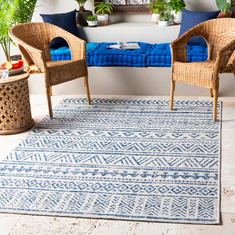 Image of Surya Eagean Global Denim, Navy, White Rugs EAG-2335