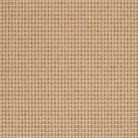 Image of Surya Elements Modern Tan Rugs ELT-1001