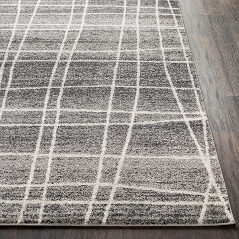 Image of Surya Elaziz Modern Medium Gray, Light Gray, Black, White Rugs ELZ-2328