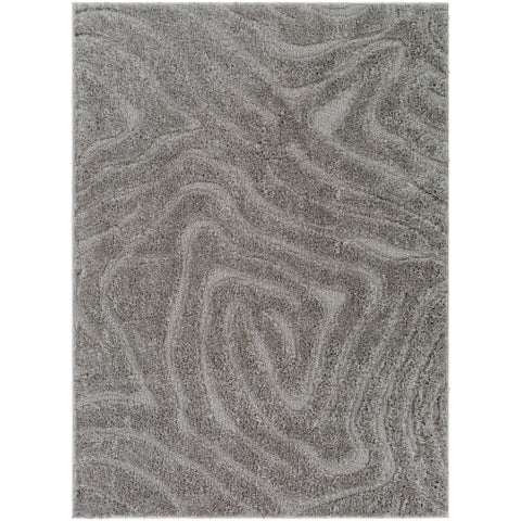 Image of Surya Elenor Modern Light Gray Rugs ENR-2304