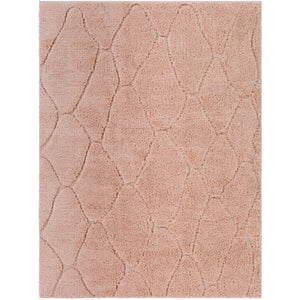 Surya Elenor Modern Blush Rugs ENR-2305