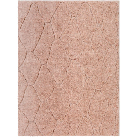 Image of Surya Elenor Modern Blush Rugs ENR-2305