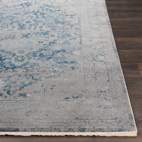 Image of Surya Ephesians Traditional Medium Gray, Aqua, Sky Blue Rugs EPC-2328