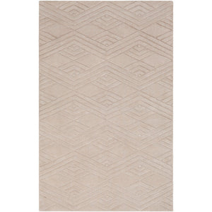 Surya Etching Modern Khaki Rugs ETC-5001