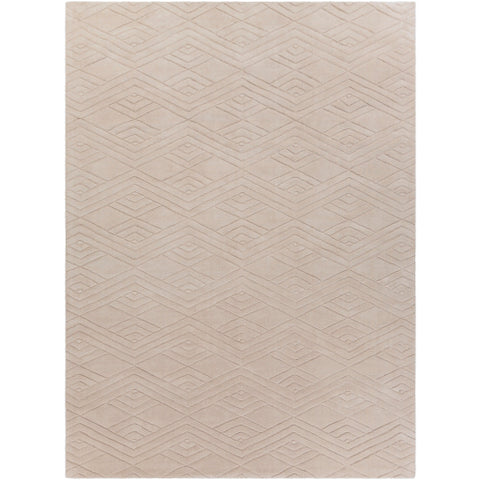 Image of Surya Etching Modern Khaki Rugs ETC-5001