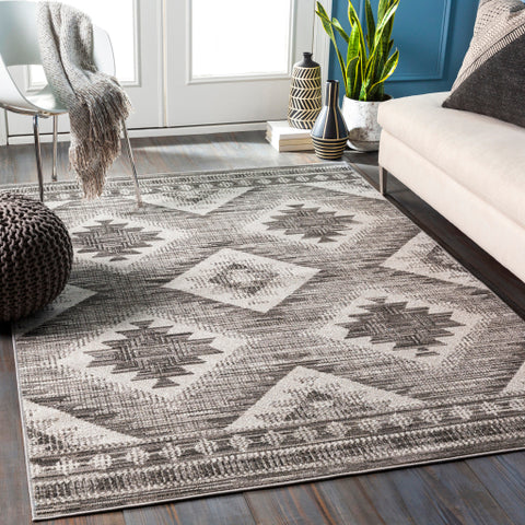 Image of Surya Rafetus Traditional Charcoal, Light Gray, Black, White Rugs ETS-2335