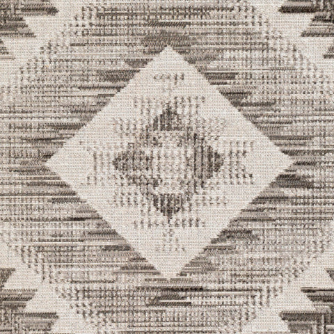 Image of Surya Rafetus Traditional Charcoal, Light Gray, Black, White Rugs ETS-2335