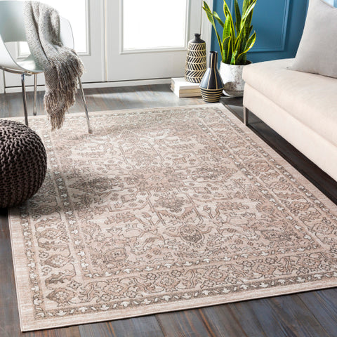 Image of Surya Rafetus Traditional Charcoal, Camel, White Rugs ETS-2337