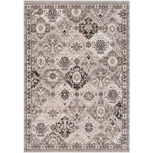 Surya Rafetus Traditional Charcoal, Black, Light Gray, Camel, White Rugs ETS-2339