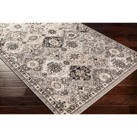 Image of Surya Rafetus Traditional Charcoal, Black, Light Gray, Camel, White Rugs ETS-2339