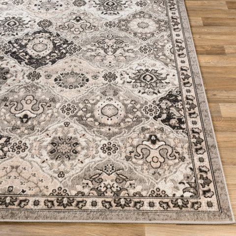 Image of Surya Rafetus Traditional Charcoal, Black, Light Gray, Camel, White Rugs ETS-2339