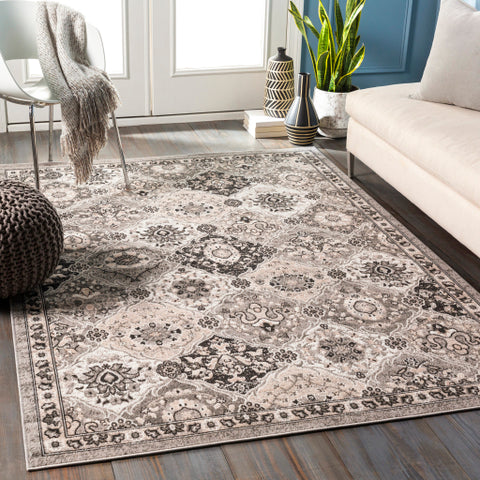 Image of Surya Rafetus Traditional Charcoal, Black, Light Gray, Camel, White Rugs ETS-2339