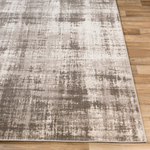 Image of Surya Rafetus Modern Charcoal, Light Gray, White Rugs ETS-2342