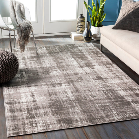 Image of Surya Rafetus Modern Charcoal, Light Gray, White Rugs ETS-2342