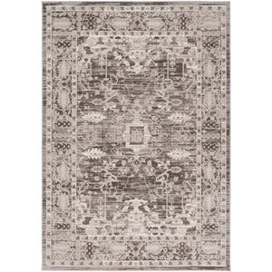 Surya Rafetus Traditional Charcoal, Light Gray, White Rugs ETS-2350