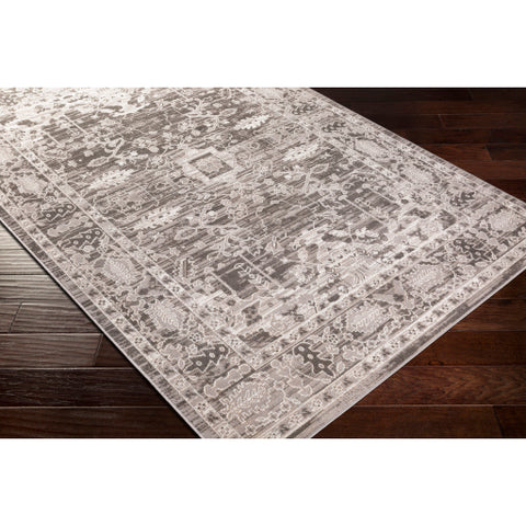 Image of Surya Rafetus Traditional Charcoal, Light Gray, White Rugs ETS-2350