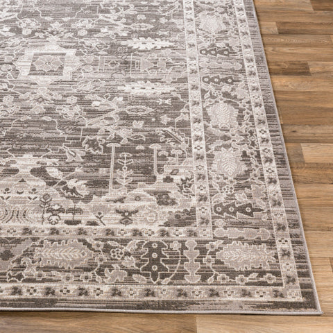 Image of Surya Rafetus Traditional Charcoal, Light Gray, White Rugs ETS-2350