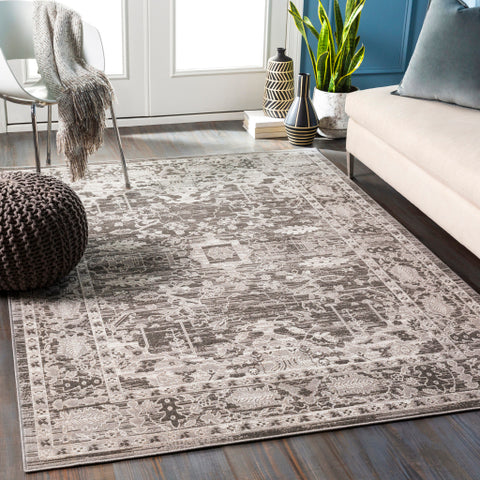 Image of Surya Rafetus Traditional Charcoal, Light Gray, White Rugs ETS-2350