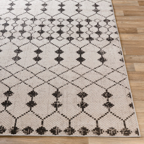 Image of Surya Rafetus Global Charcoal, Black, White Rugs ETS-2353