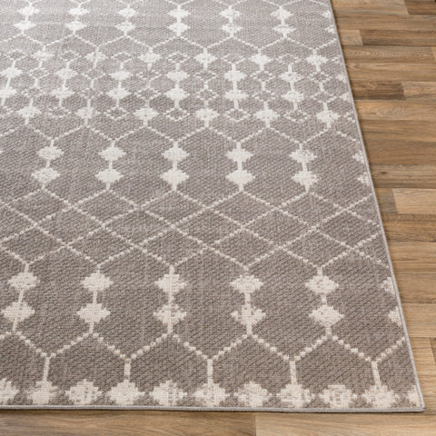 Image of Surya Rafetus Global Light Gray, Charcoal, White Rugs ETS-2355